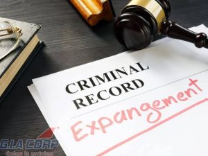 criminal record certificate in vietnam