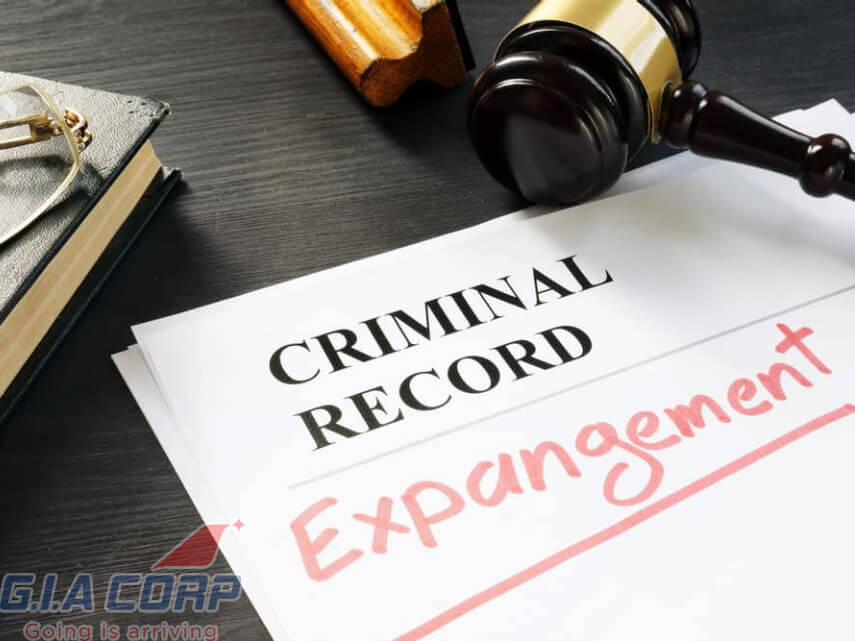 criminal record certificate in vietnam