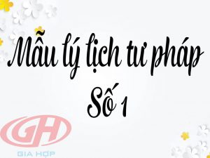lý lịch tư pháp số 1 855px