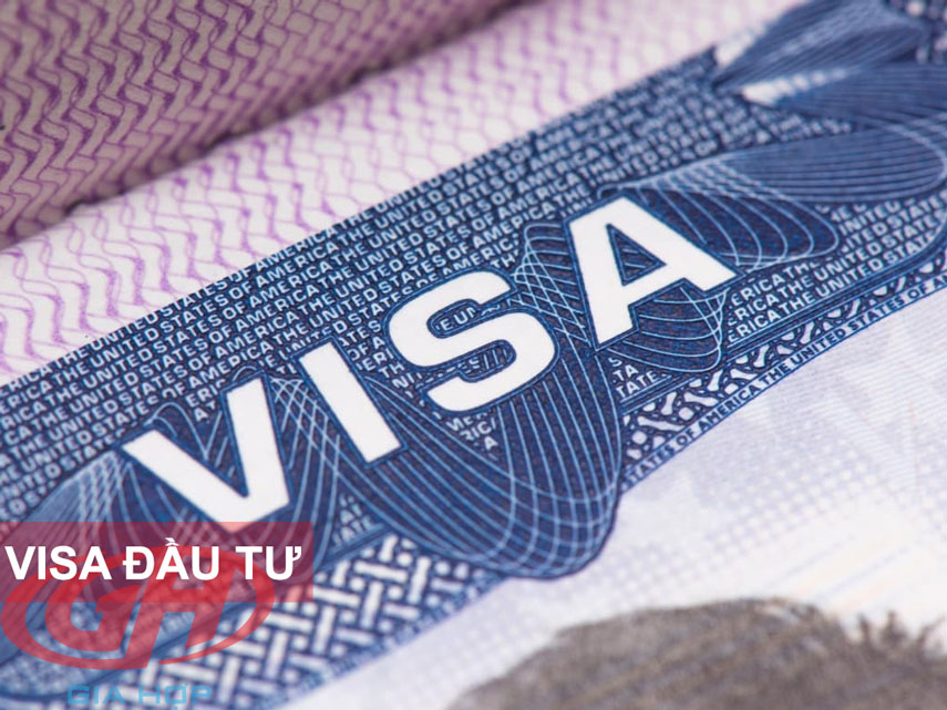 Visa đầu tư - Visa ĐT