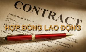 hop dong ld