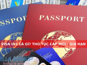 Visa LV1