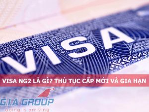 Visa NG2