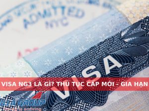 visa ng3