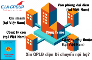 xin giay phep lao dong theo hinh thuc di chuyen trong noi bo doanh nghiep