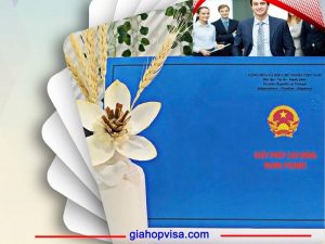 giay phep lao dong nguoi han 1