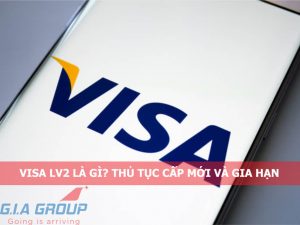 Visa LV2