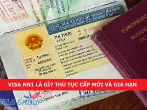 visa nn1