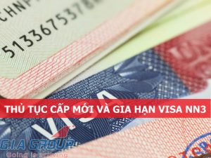 visa nn3