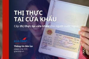 Them tieu de 2024 11 26T165022.026