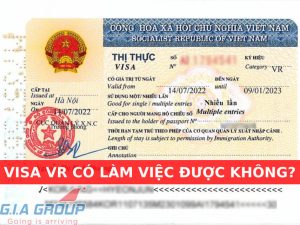 visa vr có làm việc được không