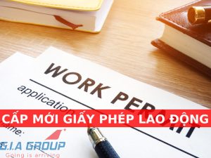 cấp mới giấy phép lao động