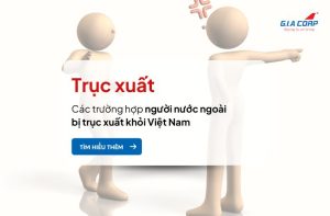 ANH COVER BAI SEO 10