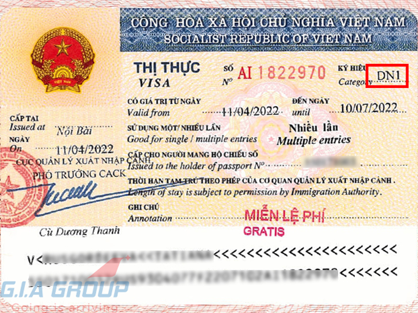 visa DN1