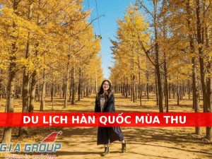 du lịch hàn quốc mùa thu