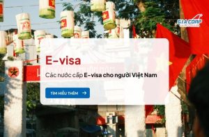 ANH COVER BAI SEO 100