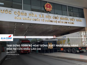 Giay Phep Lao Dong doi voi nha dau tu quoc te 9