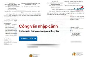 ANH COVER BAI SEO 80