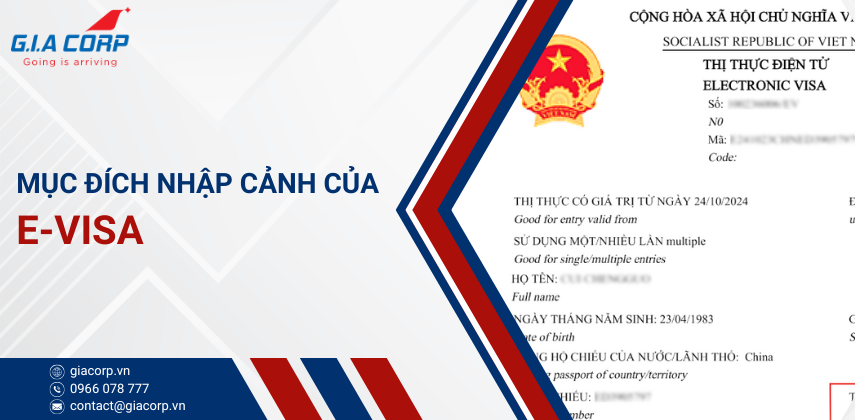 Nhập cảnh bằng e-visa sai mục đích