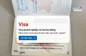 visa doanh nghiệp và visa lao động
