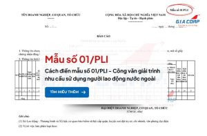 Mẫu 01/PLI Nghị định 152