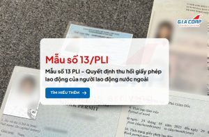 mau so 13 pli thu hoi gpld