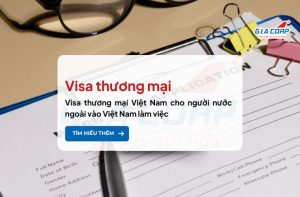 visa thuong mai cover
