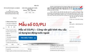 mau so 03 pli giacorp cover