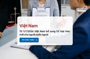 Từ 1/7/2026 Việt Nam bổ sung 02 loại visa mới