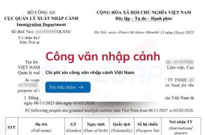 chi phi xin cong van nhap canh