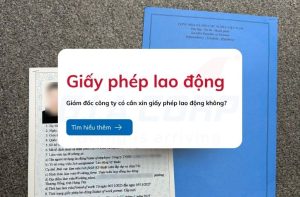 giam doc cong ty co can xin giay phep lao dong khong