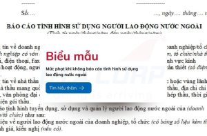 muc phat khi khong bao cao tinh hinh su dung lao dong