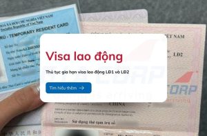 thu tuc gia han lao dong ld1 va ld2