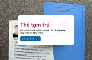 chi nhanh doanh nghiep co duoc nop ho so xin cap giay phep lao dong khong