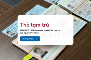 mau na15 mau cong van thu hoi the tam tru