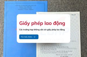 Các trường hợp không cần xin giấy phép lao động