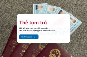 muc xu phat qua han the tam tru giacorp