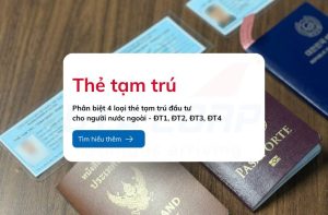 phan biet 4 loai the tam tru dau tu giacorp