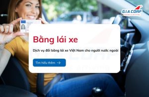 dich vu doi bang lai xe viet nam giacorp