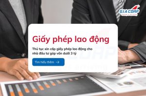 giay phep lao dong cho nha dau tu gop von duoi 3 ty giacorp