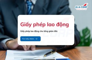 giay phep lao dong cho tong giam doc