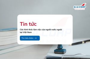 các hình thức làm việc của người nước ngoài tại Việt Nam